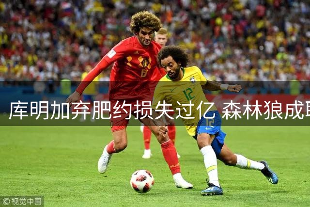 库明加弃肥约损失过亿 森林狼成职业生涯新起点